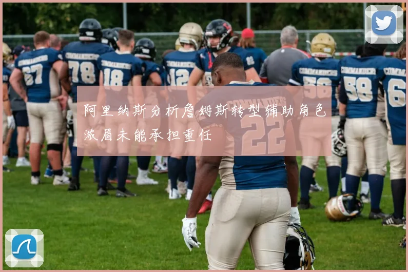 阿里纳斯分析詹姆斯转型辅助角色浓眉未能承担重任