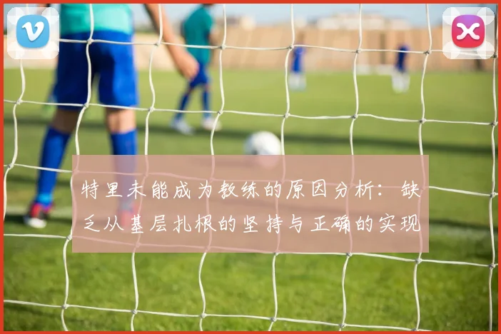 特里未能成为教练的原因分析：缺乏从基层扎根的坚持与正确的实现方式