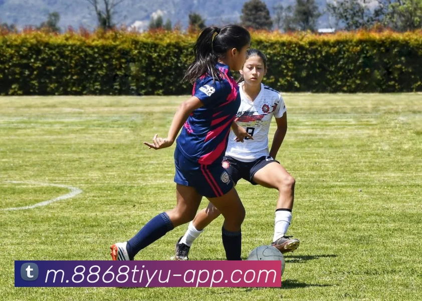 App Interface Preview