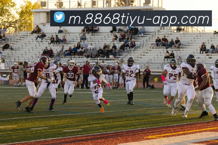 8868体育APP 封面图